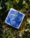 Oyster Mushroom Tile