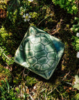 Turtle Paperweight