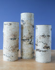 Delyria | Birch Vase Collection