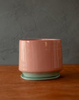 LoPresto | Mug and Planter Collection