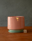 LoPresto | Mug and Planter Collection
