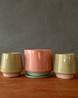 LoPresto | Mug and Planter Collection
