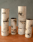 Delyria | Birch Vase Collection