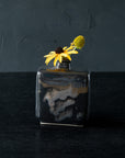 Simon | Black + Gold Bottle Collection