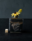 Simon | Black + Gold Bottle Collection