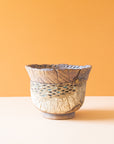 Salmeron Collection