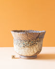 Salmeron Collection