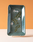 Robb | Dish Collection