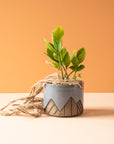 Less is More Studios | Planter Collection