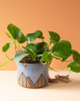 Less is More Studios | Planter Collection