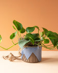 Less is More Studios | Planter Collection