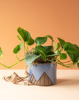 Less is More Studios | Planter Collection