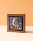 Sharkus | Bird Boxes Collection