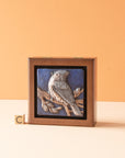 Sharkus | Bird Boxes Collection
