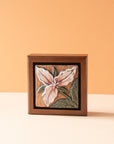 Sharkus | Bird Boxes Collection