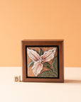 Sharkus | Bird Boxes Collection
