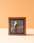Sharkus | Bird Boxes Collection