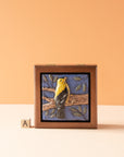 Sharkus | Bird Boxes Collection
