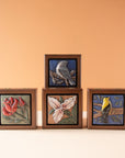 Sharkus | Bird Boxes Collection