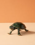 Bungart | Turtle Collection