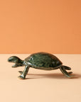 Bungart | Turtle Collection