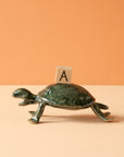 Bungart | Turtle Collection