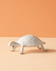 Bungart | Turtle Collection