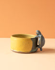 Bungart | Turtle Collection