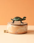 Bungart | Turtle Collection