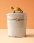 Bungart | Turtle Collection