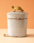 Bungart | Turtle Collection