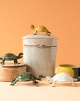 Bungart | Turtle Collection