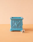 Simon | Spring Box Collection