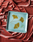 Robb | Plate Collection
