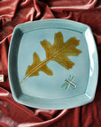 Robb | Plate Collection