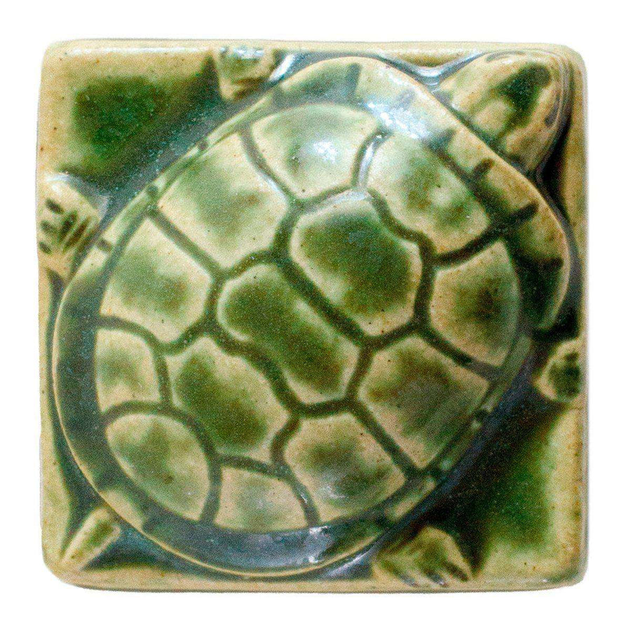 A turtle paperweight in Leaf sits on a bright plain background.