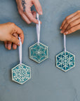 2025 Snowflake Set