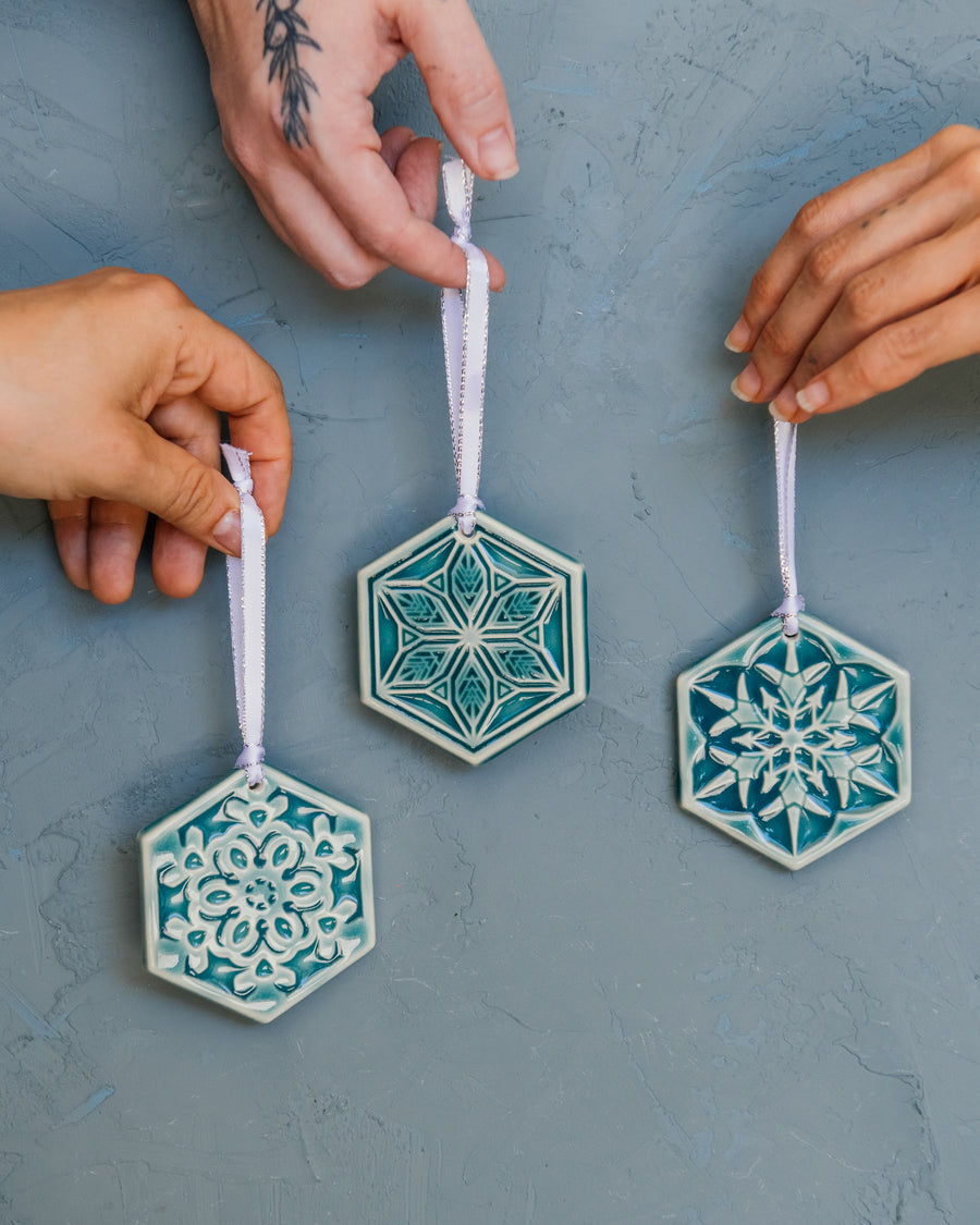 2025 Snowflake Set