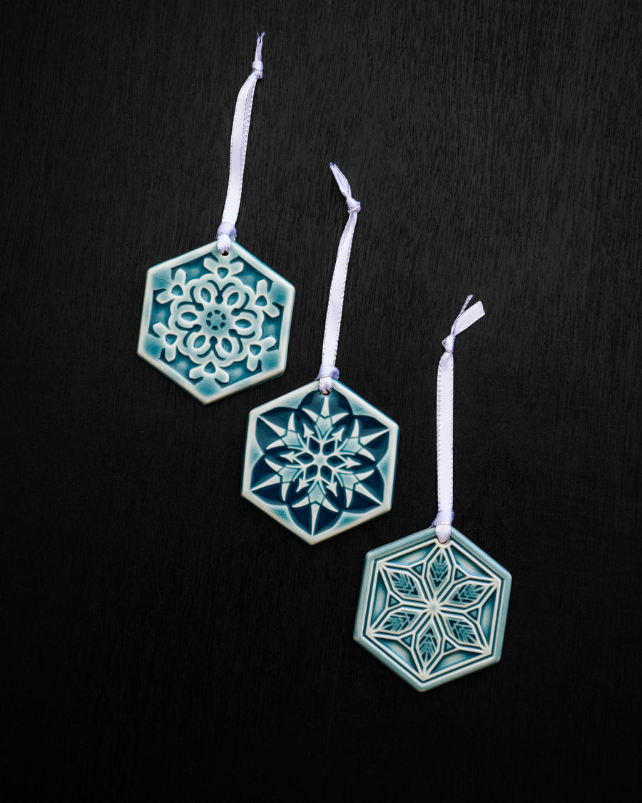 2025 Snowflake Set