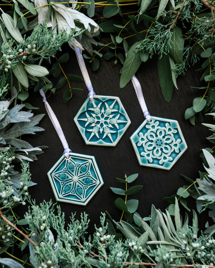 2025 Snowflake Set