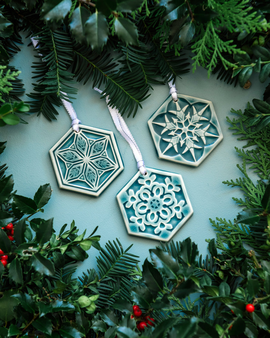 2025 Snowflake Set