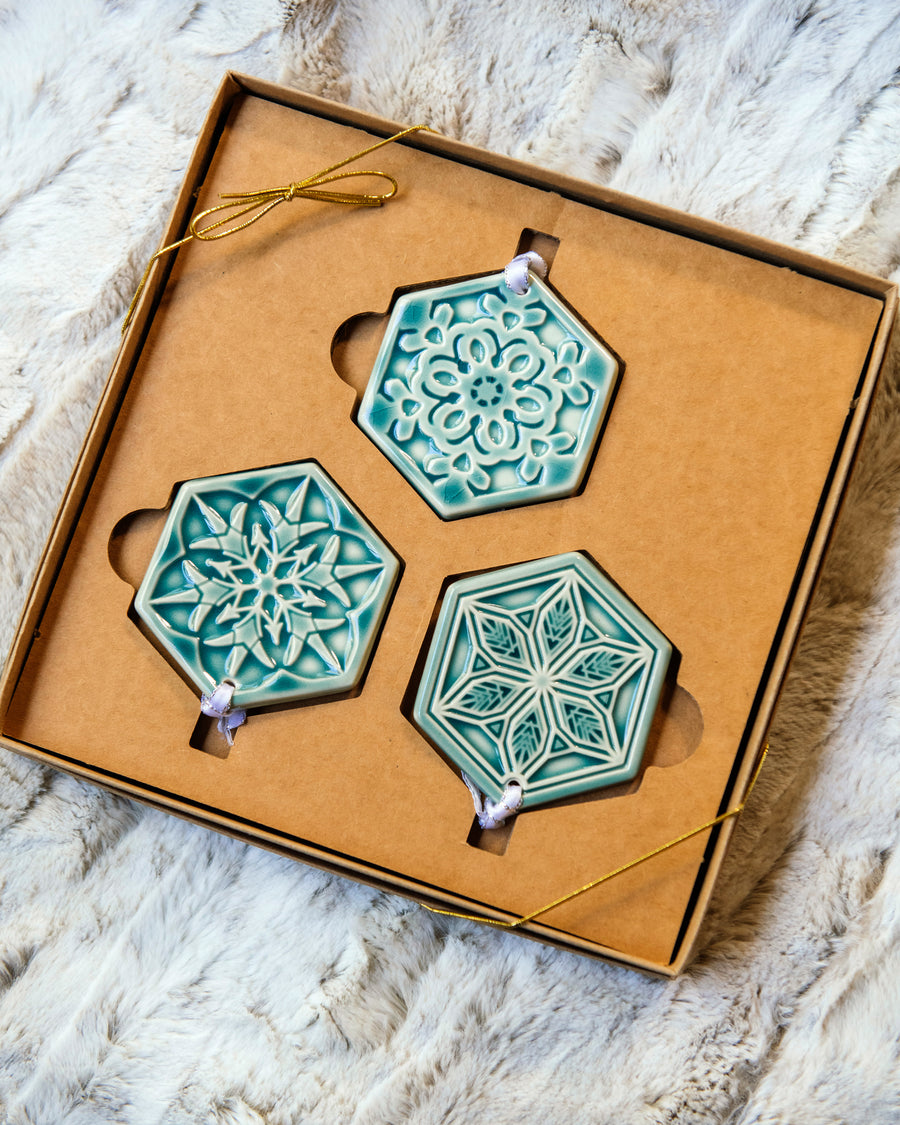 2025 Snowflake Set