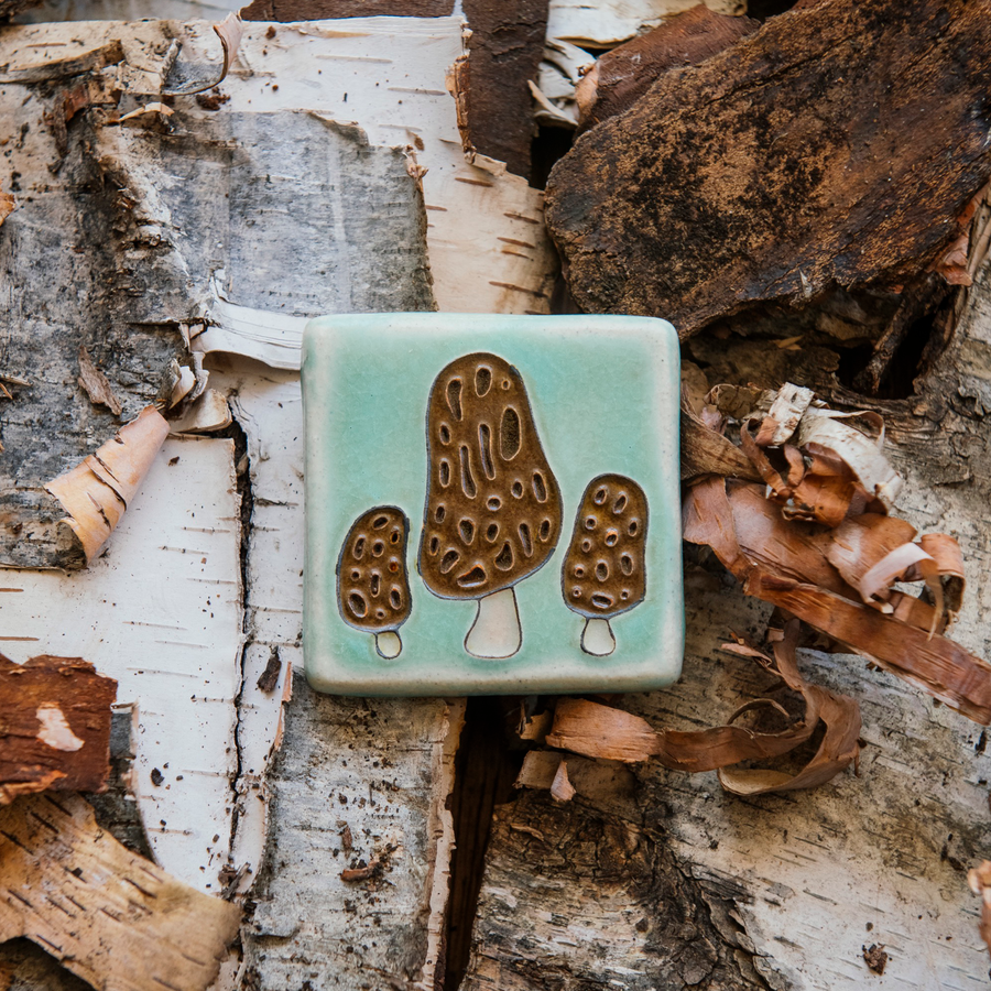 Morel Mushroom Tile | Hand-Painted