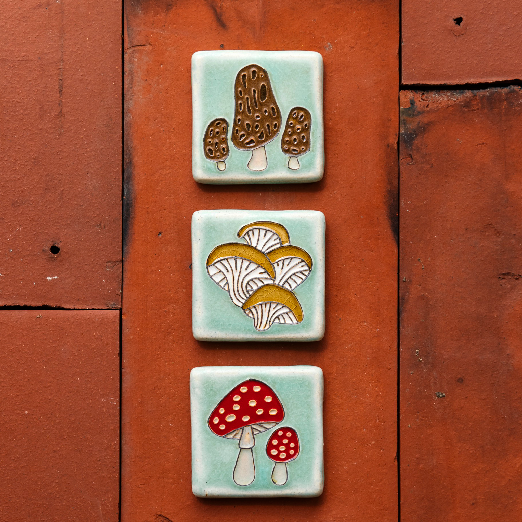 Hand-painted Morel, Oyster and Amanita mushroom tiles stacked vertically on deep, terracotta colored roof tiles. 