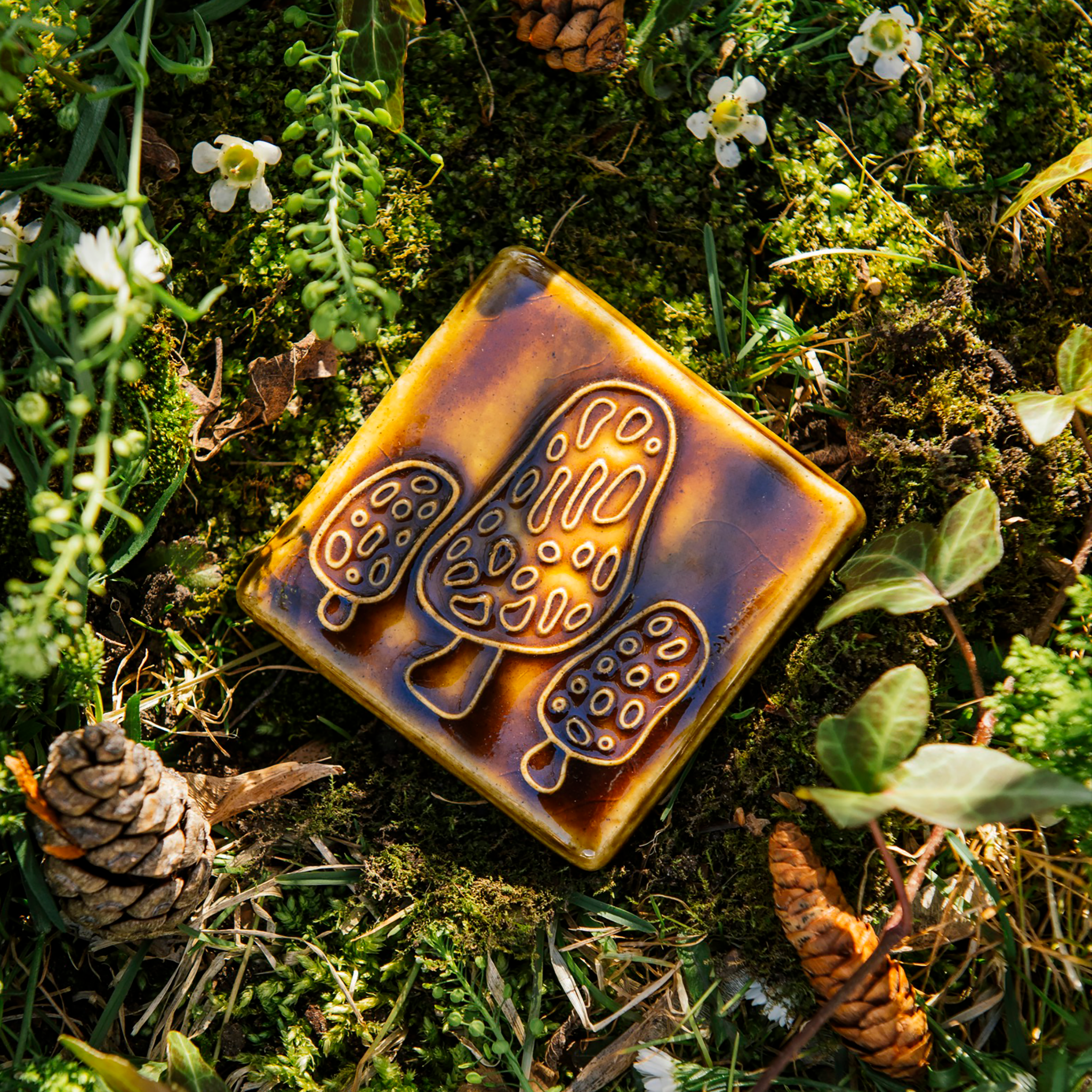 Morel Mushroom Tile