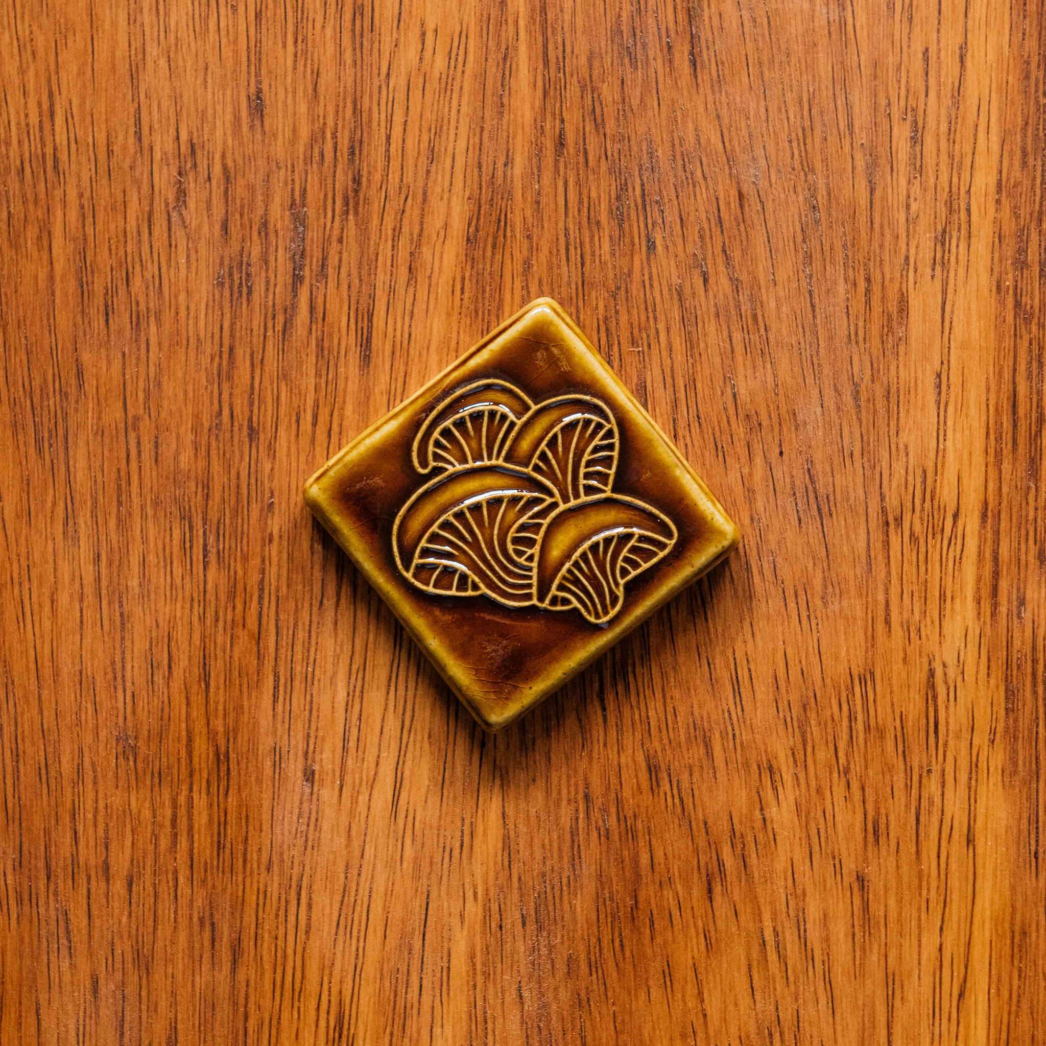 Oyster Mushroom Tile