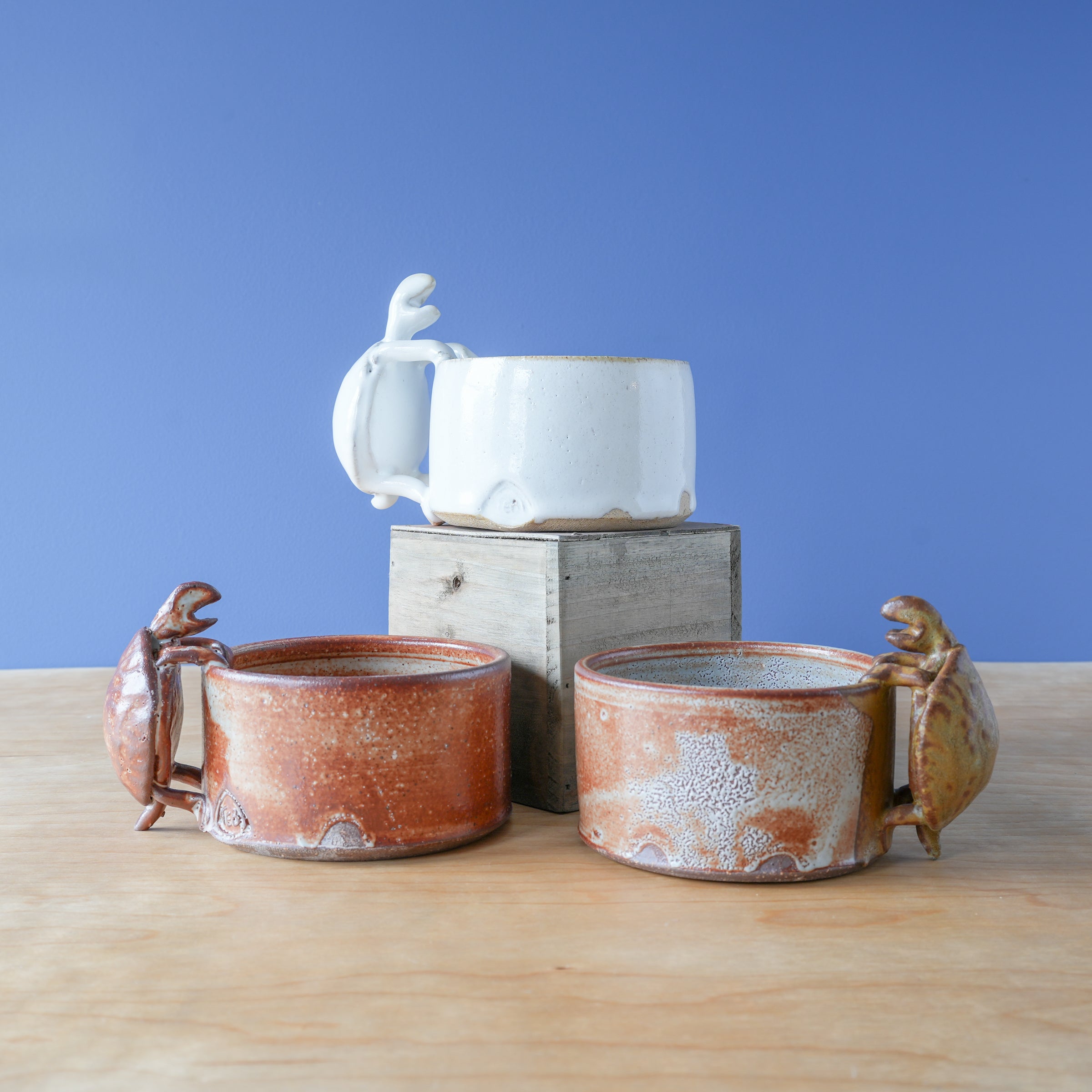 Bungart | Turtle Collection