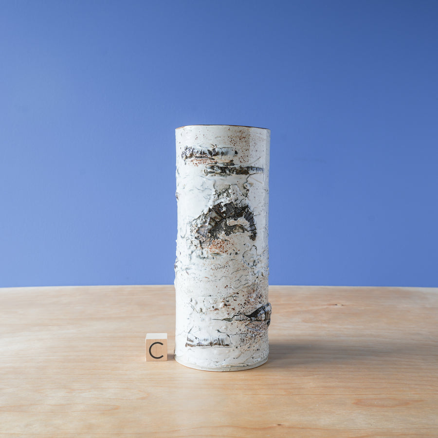 Delyria | Birch Vase Collection