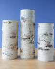 Delyria | Birch Vase Collection