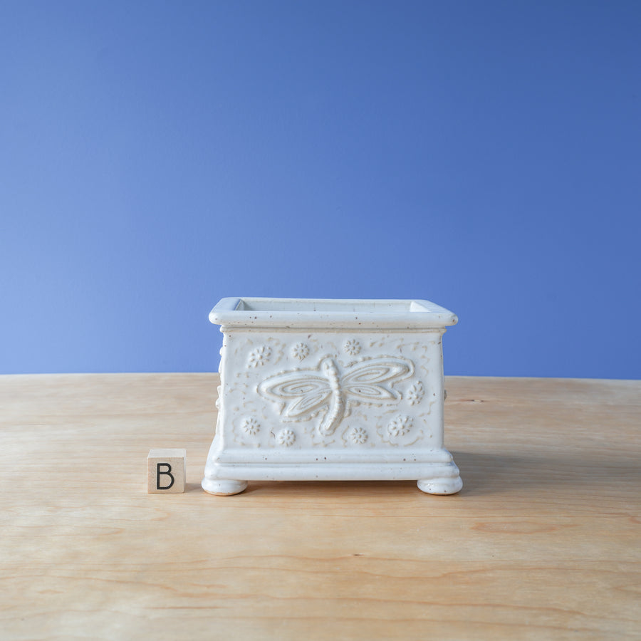 Simon | White Box Collection